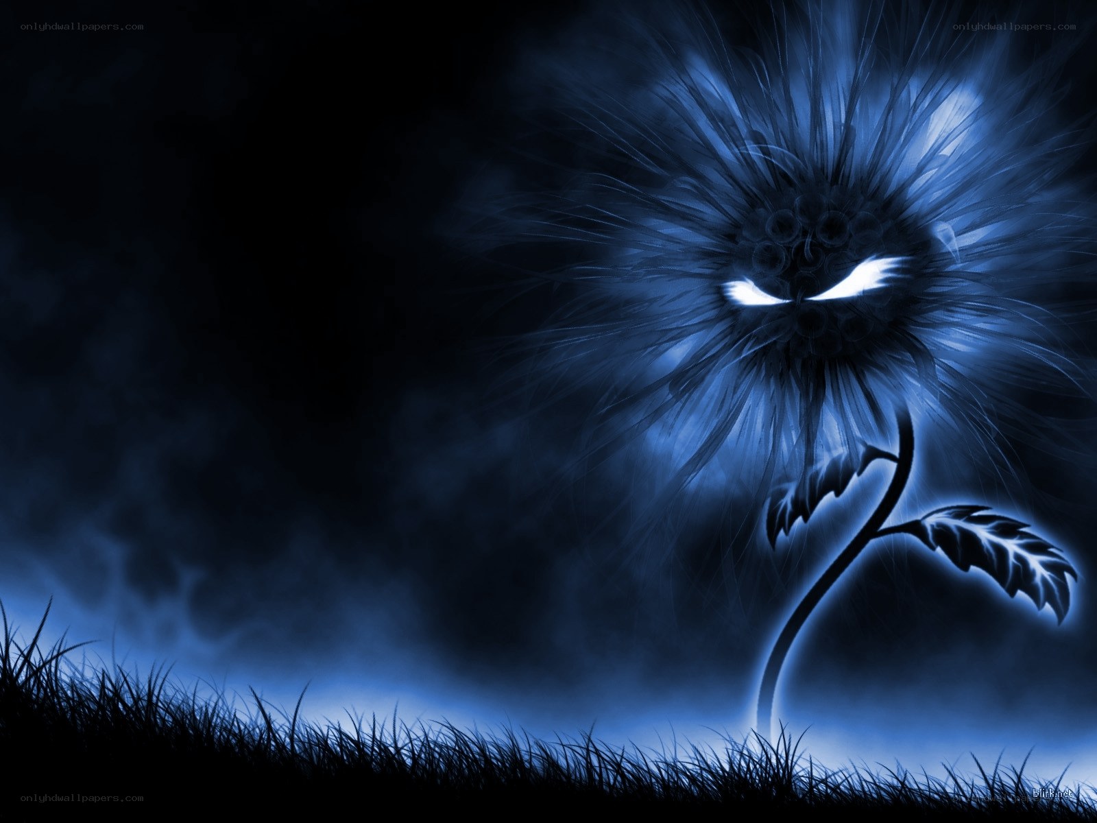 glowing blue flower at night