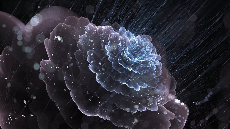 Glowing Blue Flower — Ethereal, Night, Digital Art, Dark Background
