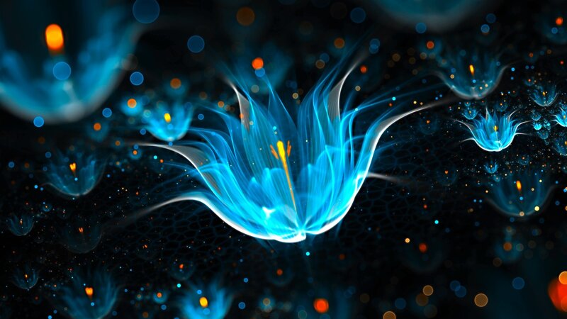 Glowing Blue Flower — Ethereal, Night