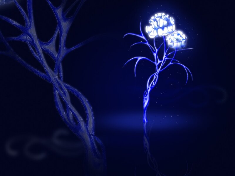 glowing blue flower plant