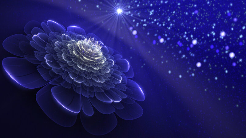 Glowing Blue Flower — Serene