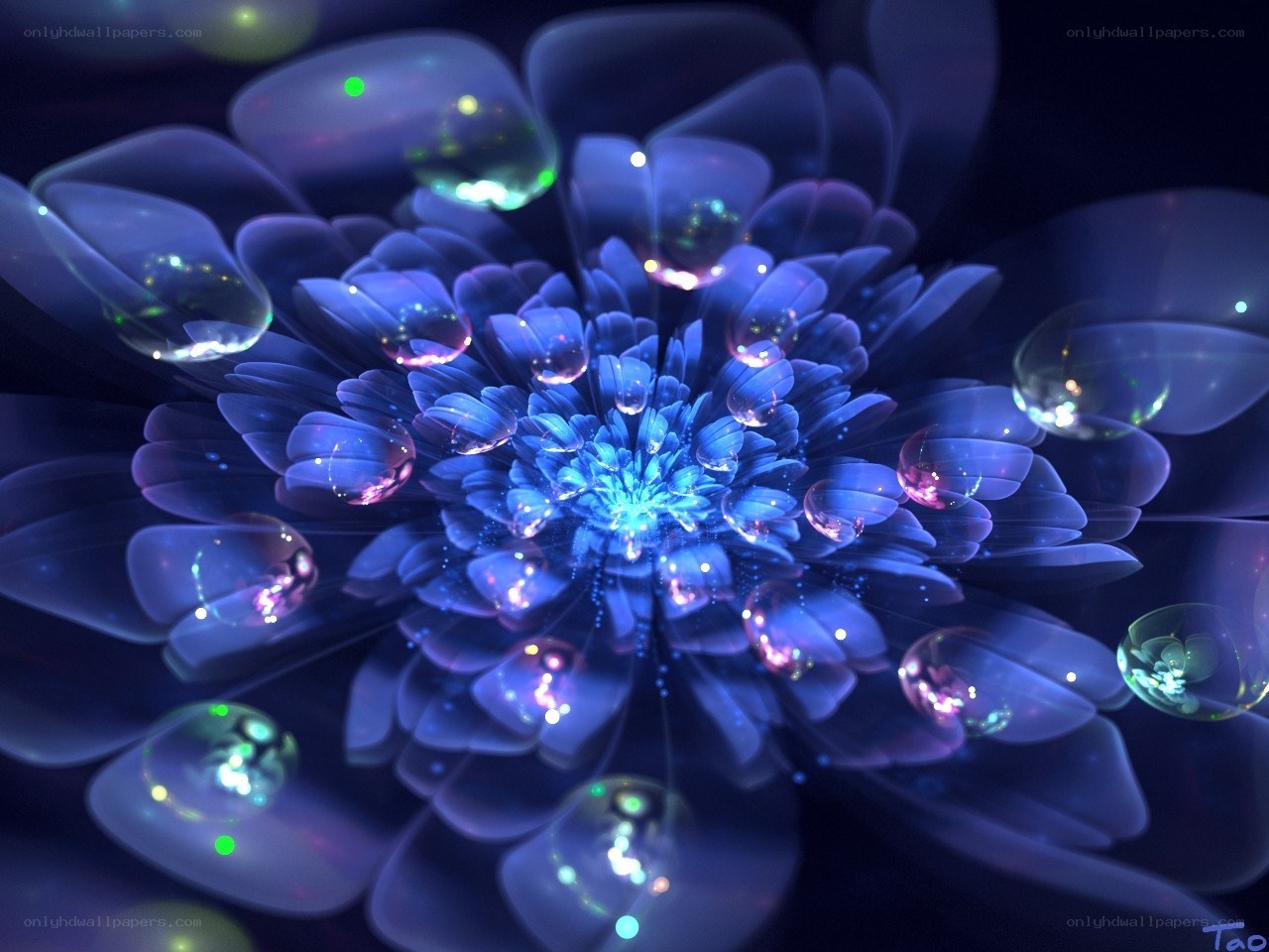 glowing blue flower with dew drops