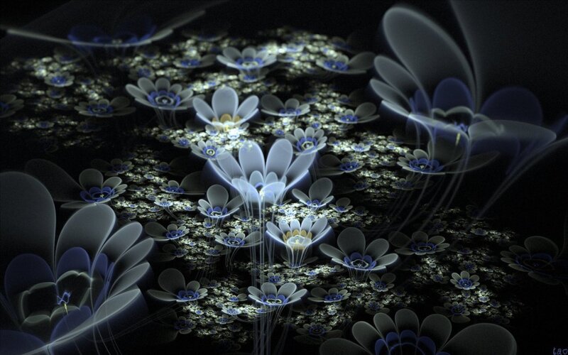 Glowing Blue Flowers — Ethereal, Night