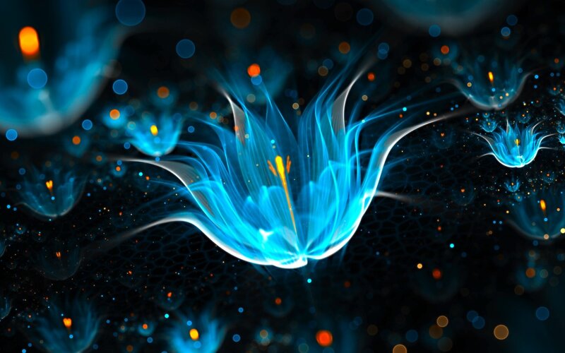 Glowing Blue Flowers — Ethereal