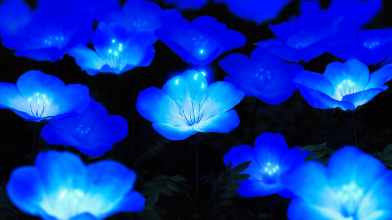 Glowing Blue Flowers — Serene, Night