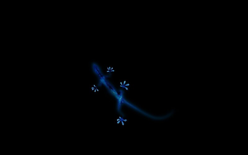 glowing blue gecko