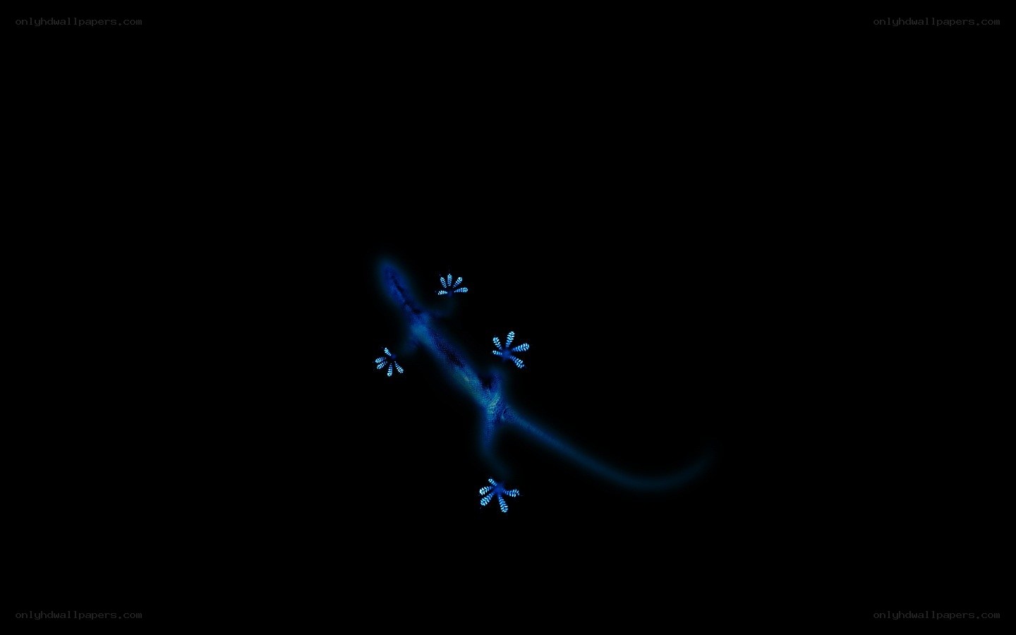 glowing blue gecko