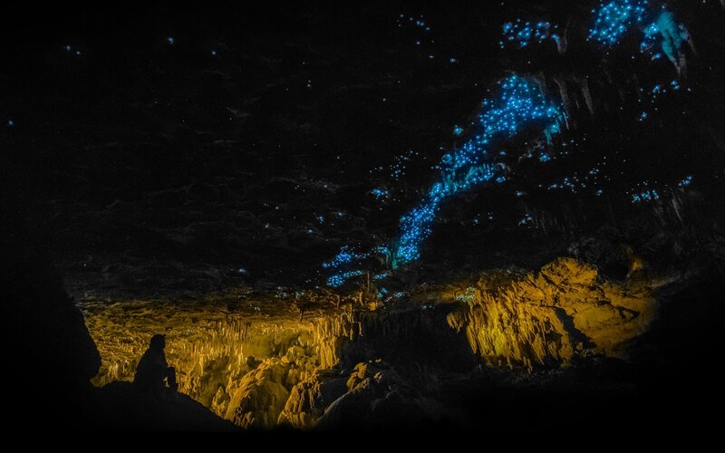 Glowing Blue Insects