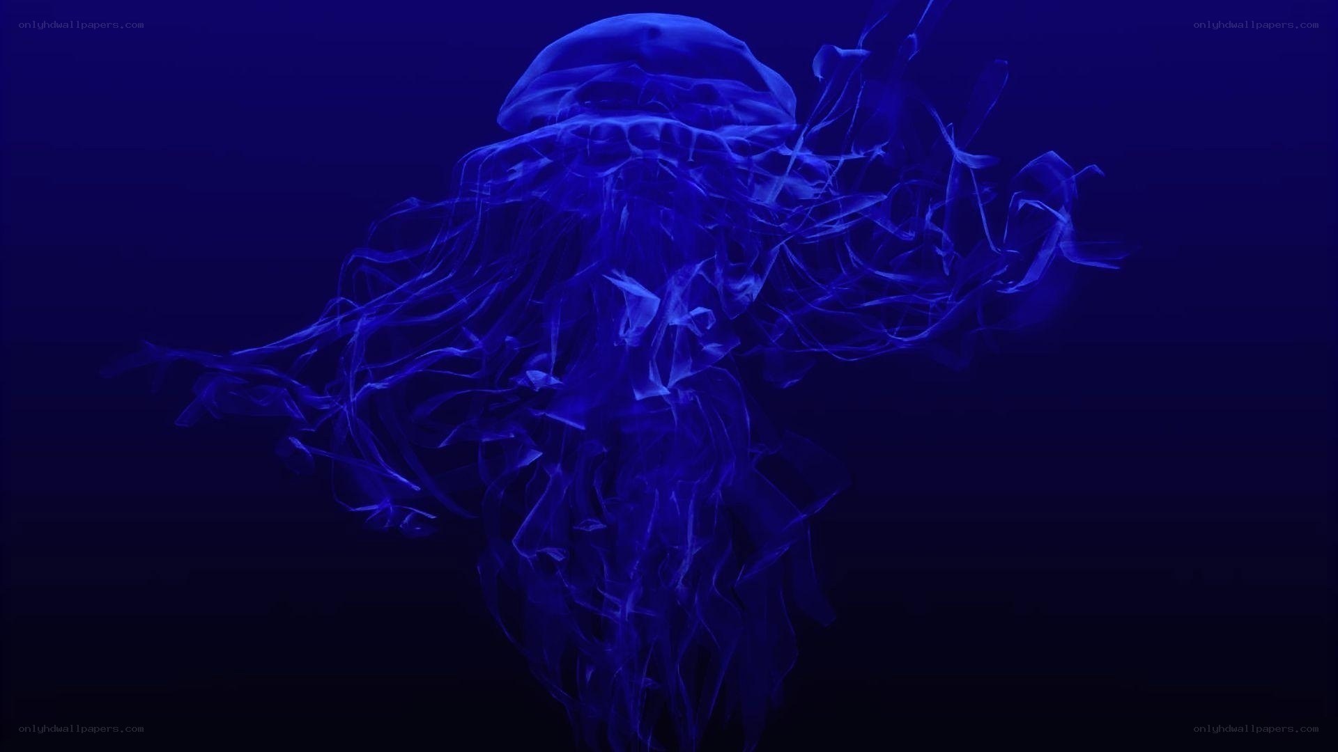 glowing blue jellyfish