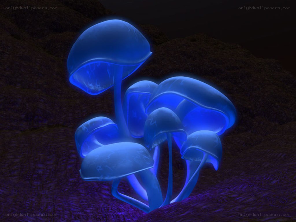 glowing blue mushrooms