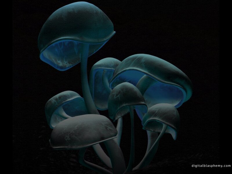 glowing blue mushrooms
