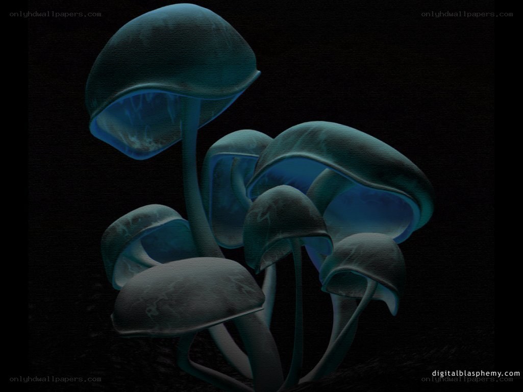 glowing blue mushrooms