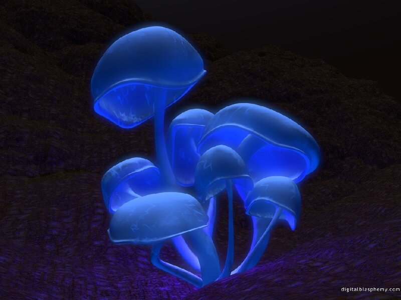 glowing blue mushrooms