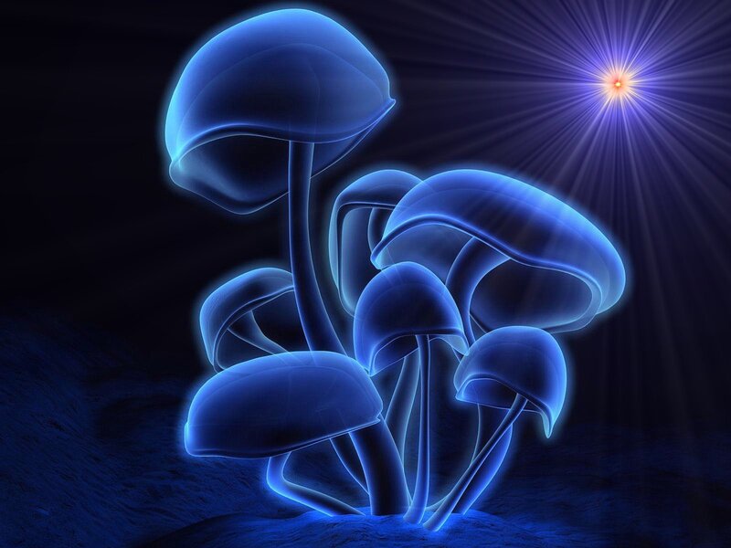 glowing blue mushrooms