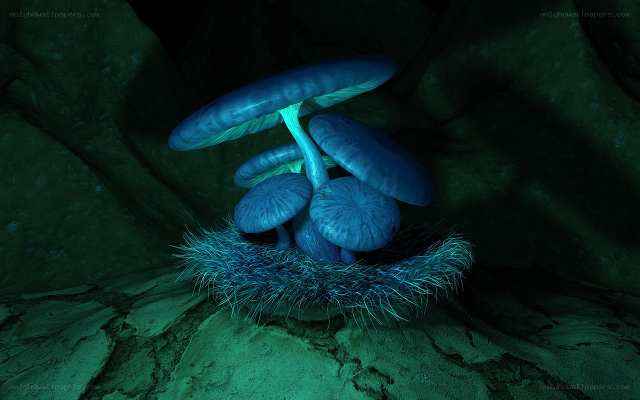 glowing blue mushrooms in cave