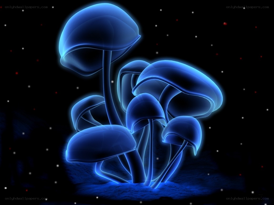 glowing blue mushrooms in space