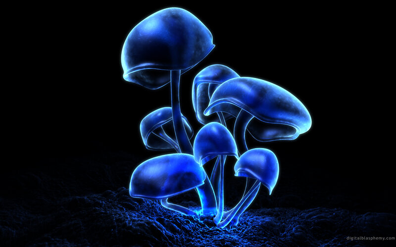 Glowing Blue Mushrooms — Mysterious, Night, Digital Art, Soil