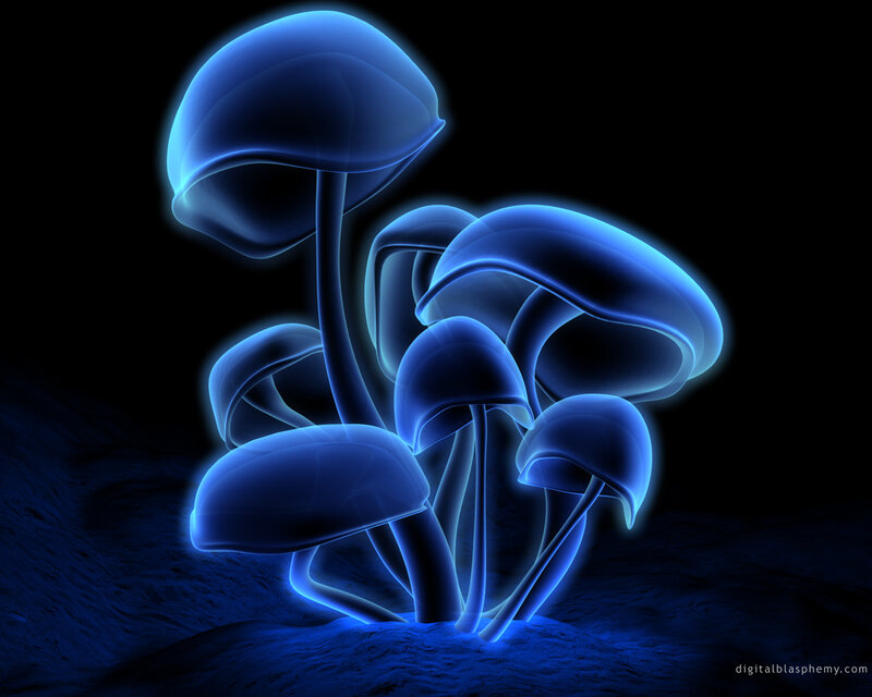 Glowing Blue Mushrooms — Mysterious, Night, Digital Art