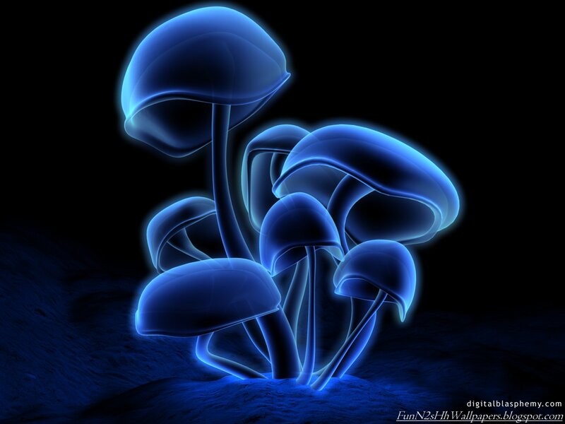 Glowing Blue Mushrooms — Mysterious