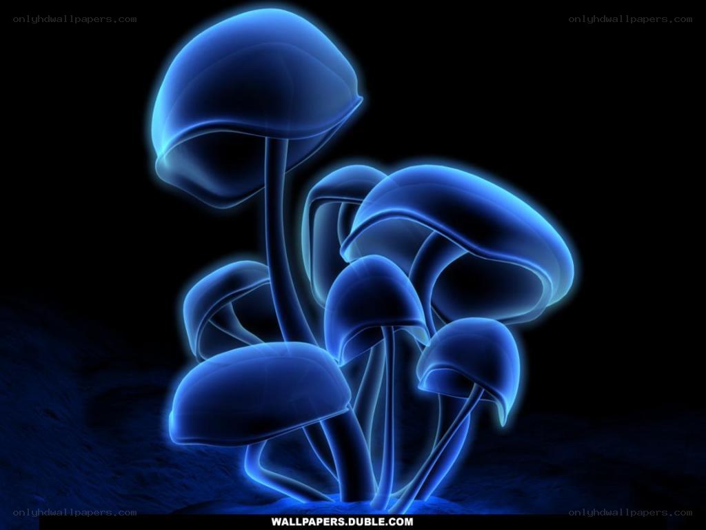 glowing blue mushrooms