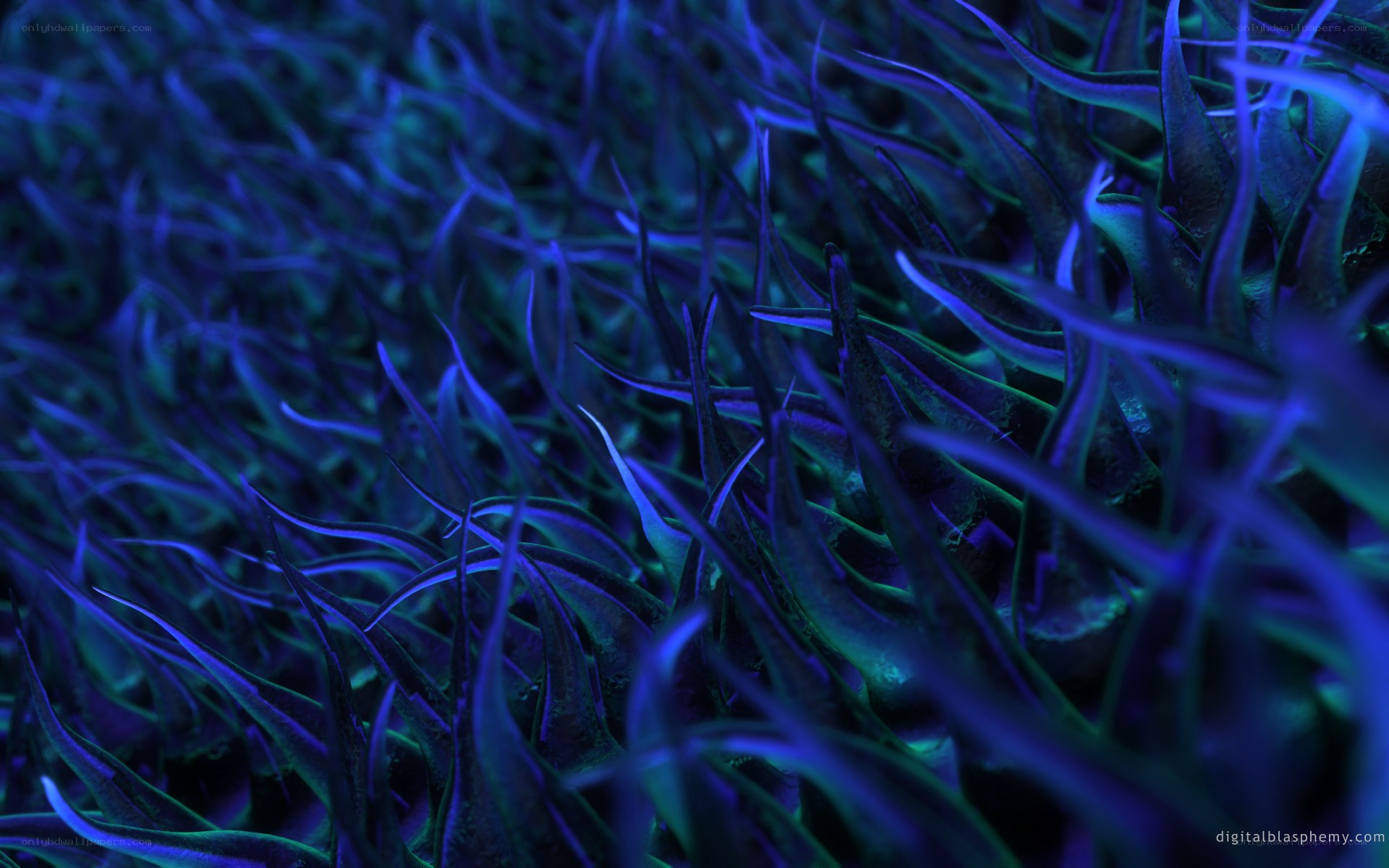 glowing blue plant life