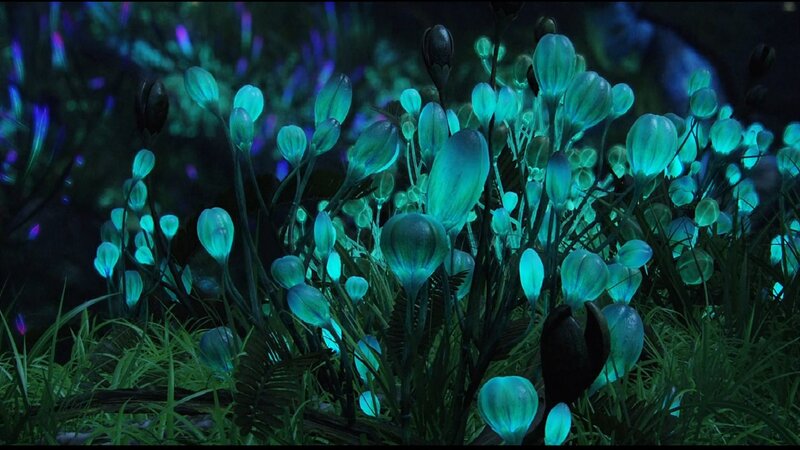 Glowing Blue Plants