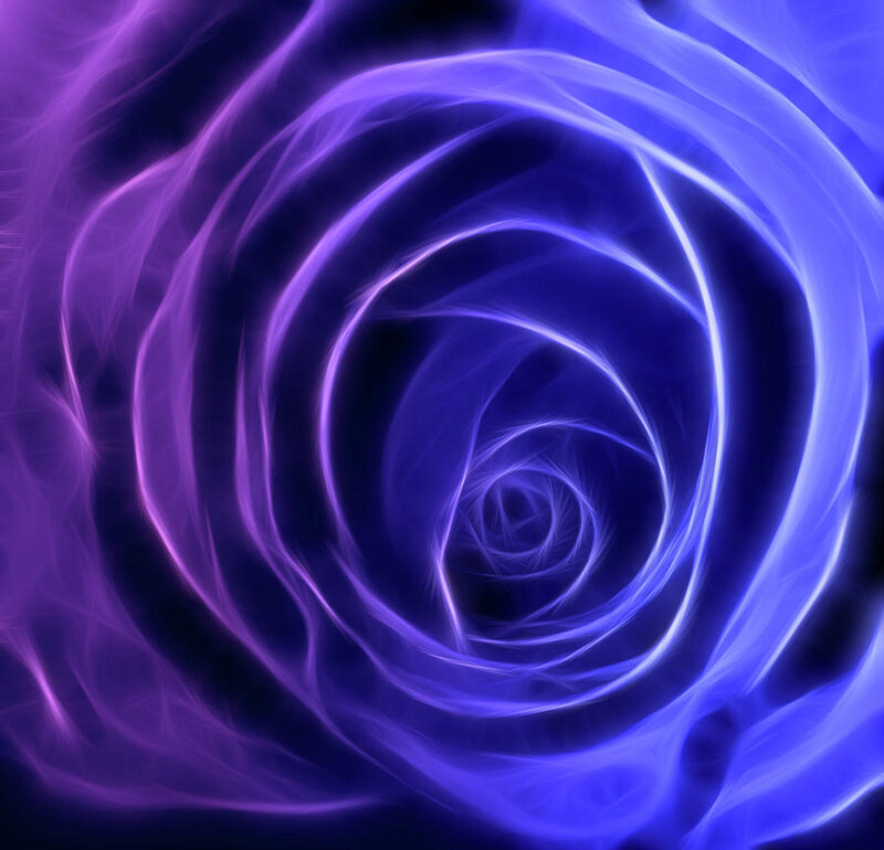 Glowing Blue-purple Rose — Blue