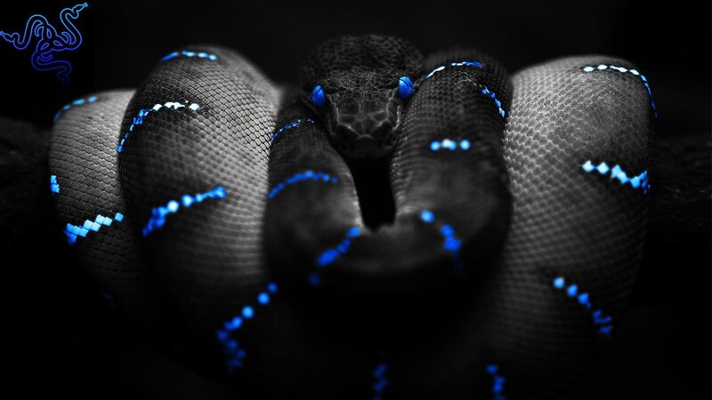 glowing blue snake coiled