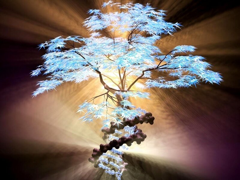 Glowing Blue Tree — Dramatic