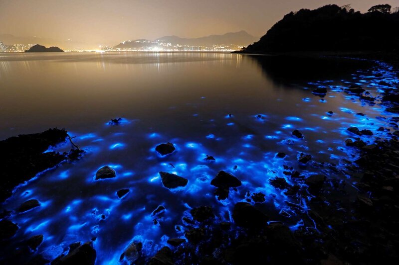 Glowing Blue Water