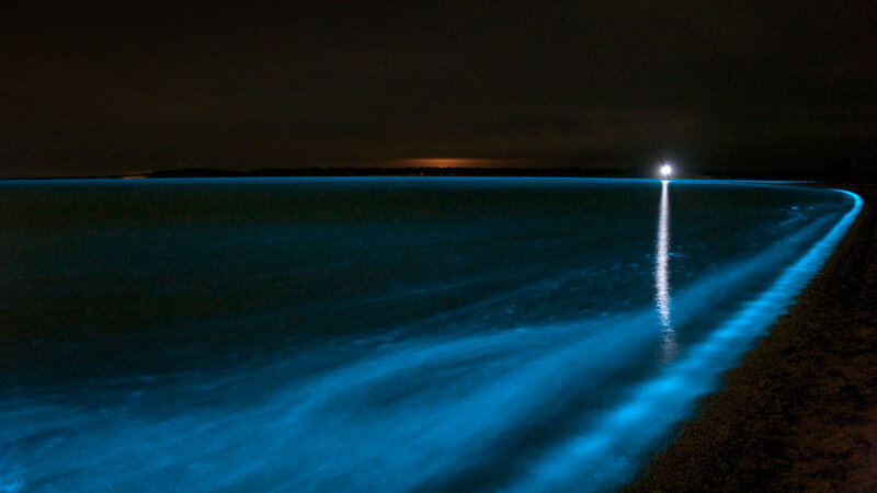 Glowing Blue Waves