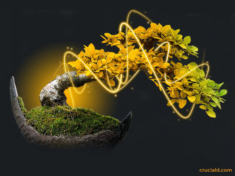 glowing bonsai tree