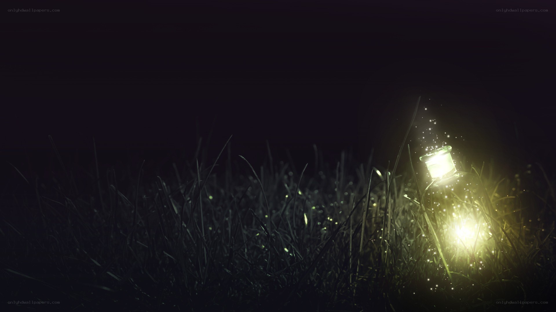 glowing bottle in grass