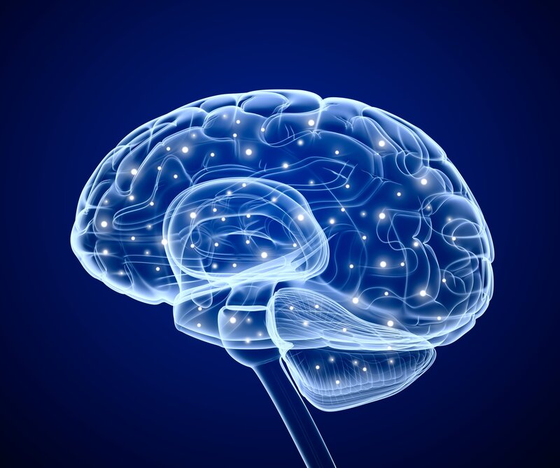Glowing Brain Model
