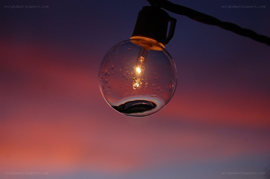 glowing bulb at dusk