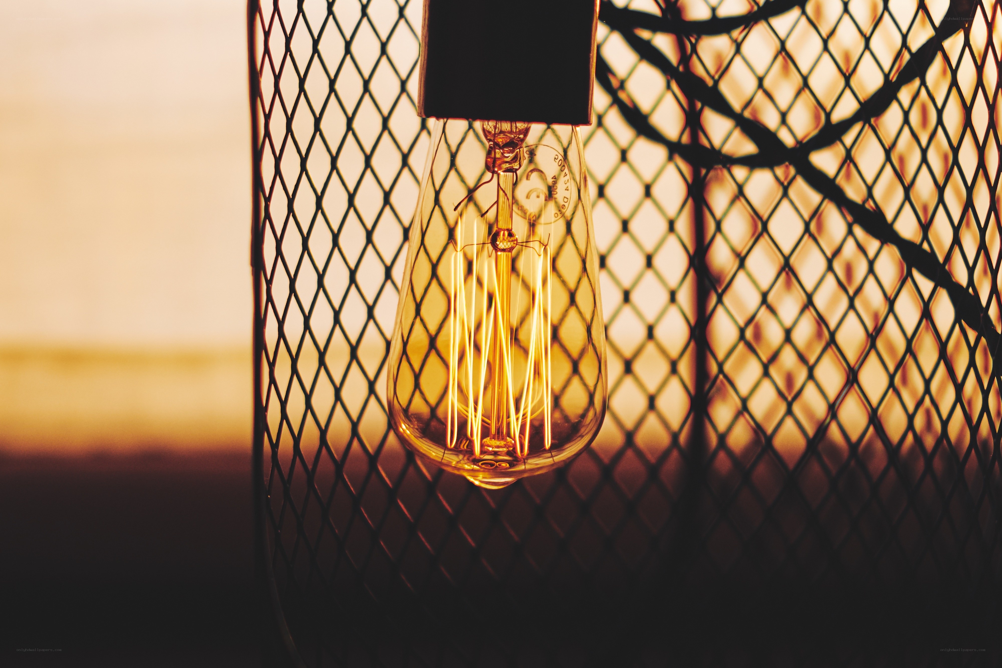 glowing bulb in mesh cage