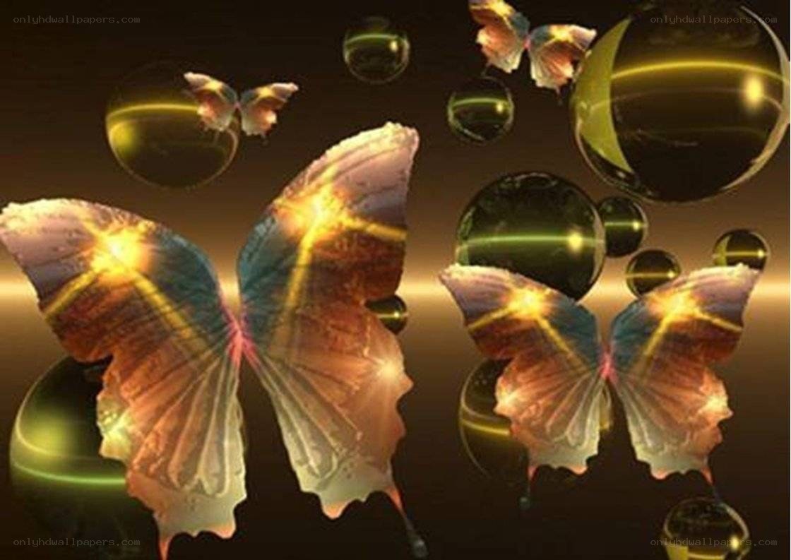 glowing butterflies and orbs