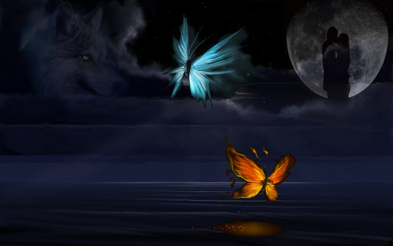 Glowing Butterflies and Wolf