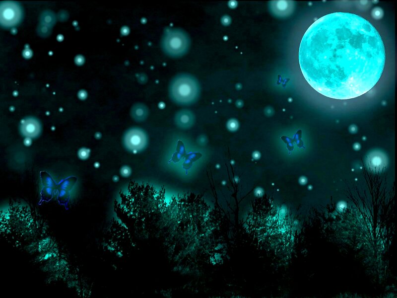 Glowing Butterflies at Night — Teal