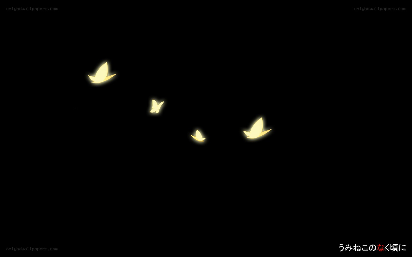 glowing butterflies at night