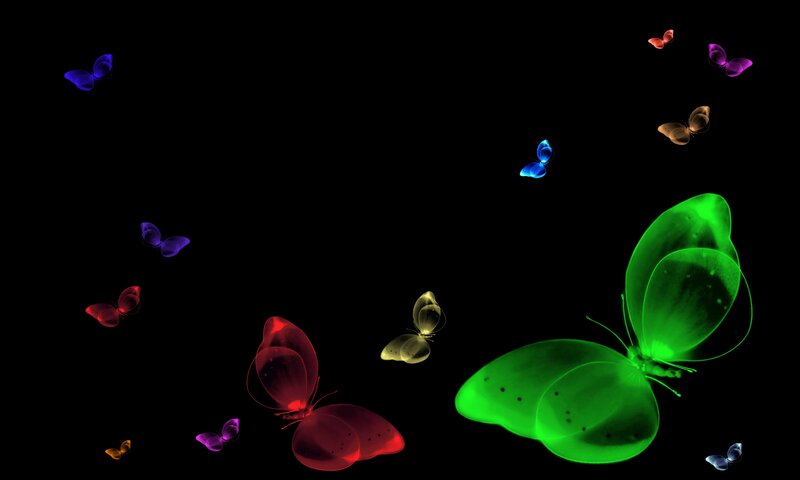 Glowing Butterflies — Black