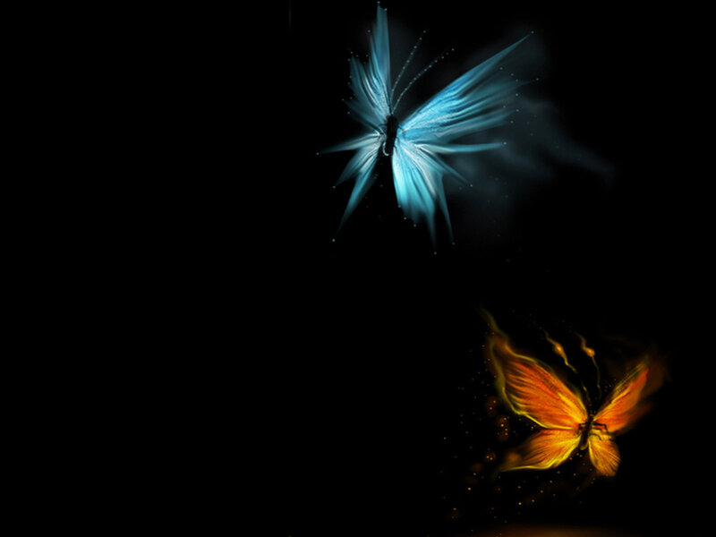 glowing butterflies in darkness