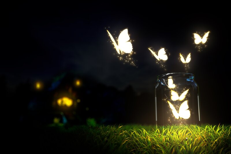 Glowing Butterflies in Jar — Black, Magical, Night, Digital Art, Grass, Yellow