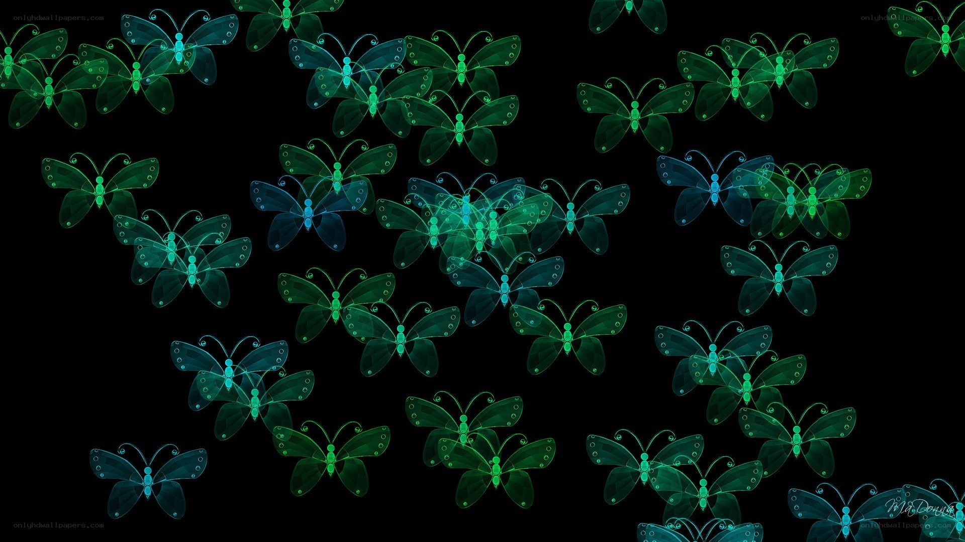 glowing butterflies on black