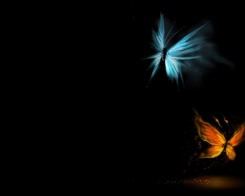 glowing butterflies on black