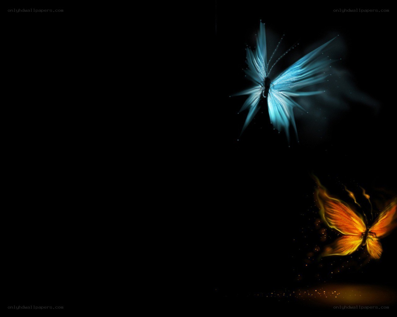 glowing butterflies on black