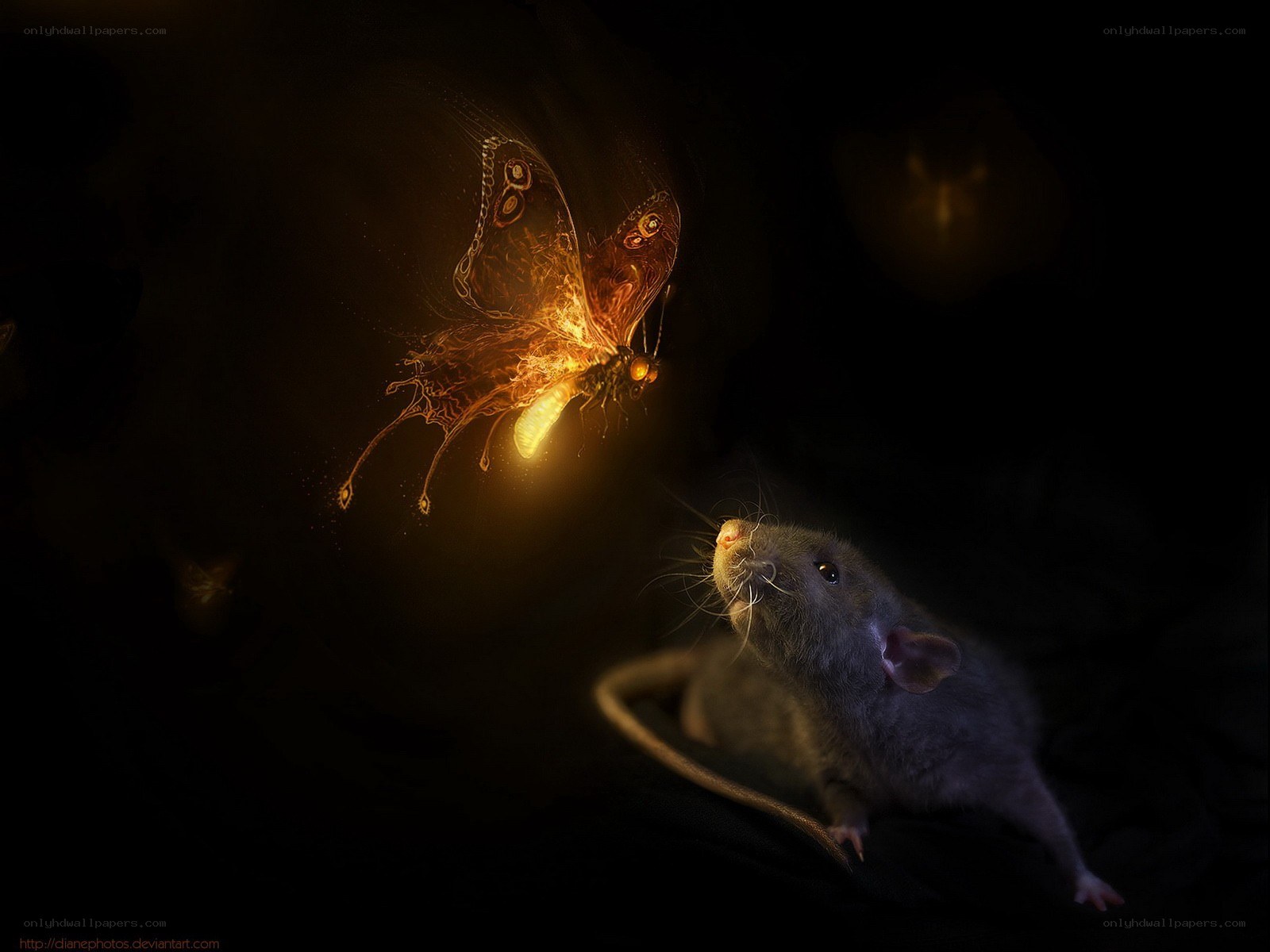 glowing butterfly and rat