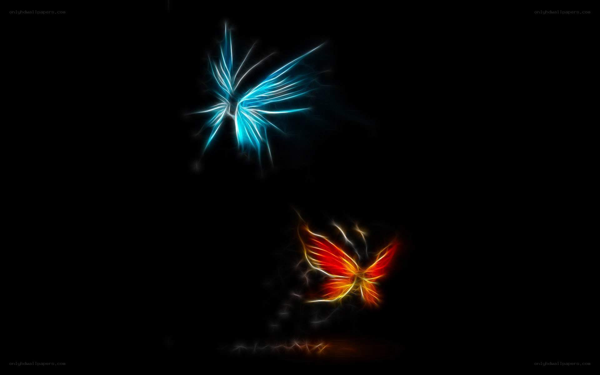 glowing butterfly art