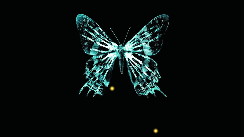 Glowing Butterfly — Black, Mysterious