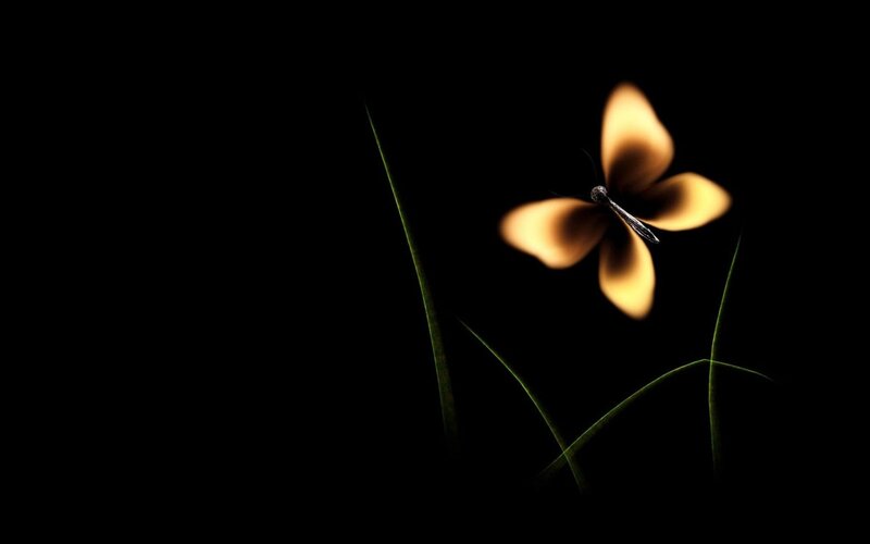 Glowing Butterfly — Black